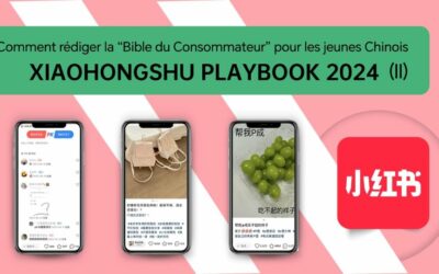 Comment rédiger la “Bible du Consommateur” pour les jeunes Chinois- Xiaohongshu Playbook (2) 2024